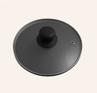 Apex Glass Pan Lid